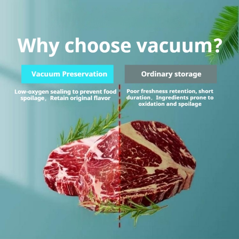 Table Top Chamber Vacuum Seale - Food Vacuum Sealer Machine review and price
